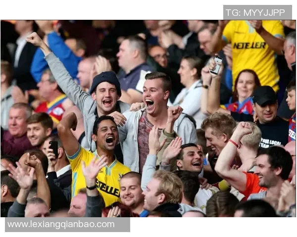 足球明星太太们的精彩看球瞬间分享与幕后故事大揭秘